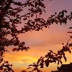 Hof Kricheleberg شقة *