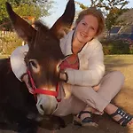 Hof Kricheleberg * Bocholtz