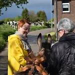 شقة Hof Kricheleberg *