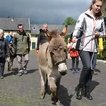 شقة Hof Kricheleberg Bocholtz