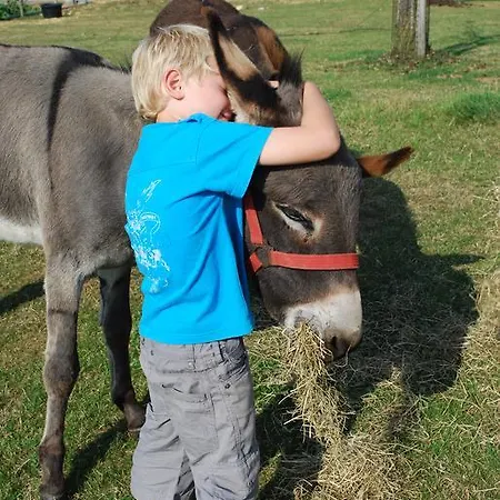 Hof Kricheleberg * Bocholtz