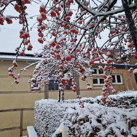 شقة Hof Kricheleberg Bocholtz