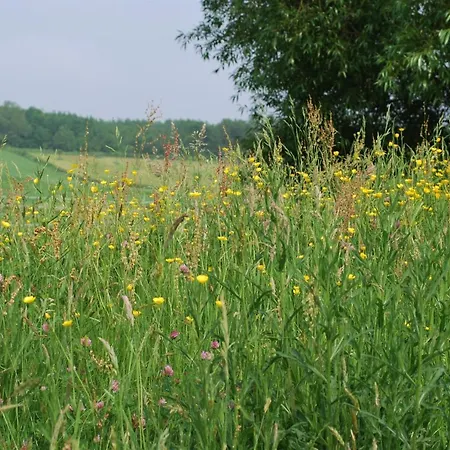 Hof Kricheleberg Bocholtz
