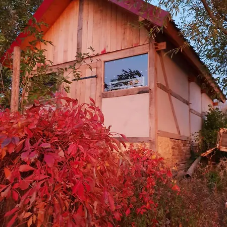 Daire Hof Kricheleberg *