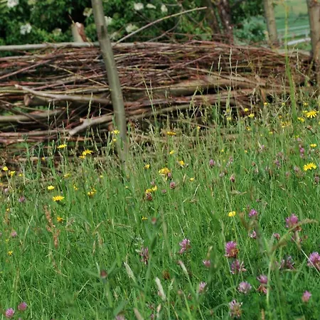 Hof Kricheleberg Bocholtz