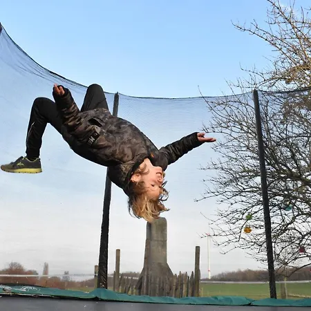 Daire Hof Kricheleberg