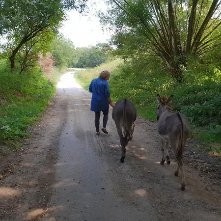 شقة Hof Kricheleberg