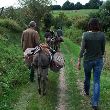 Hof Kricheleberg * Bocholtz