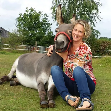 Daire Hof Kricheleberg *