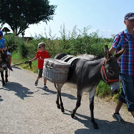 Hof Kricheleberg * Bocholtz