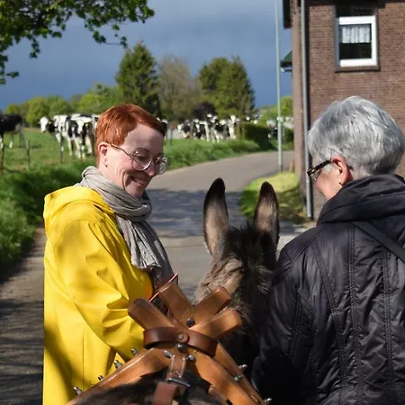 شقة Hof Kricheleberg *