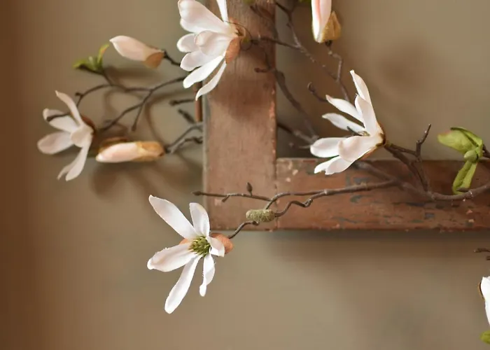 Hof Kricheleberg Daire *