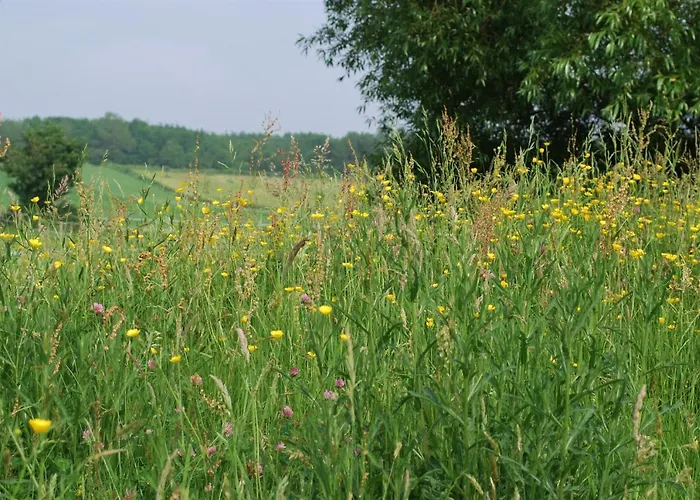 Hof Kricheleberg Bocholtz