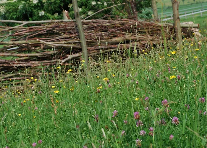 Hof Kricheleberg Bocholtz