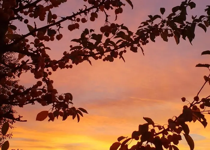 Hof Kricheleberg Daire *