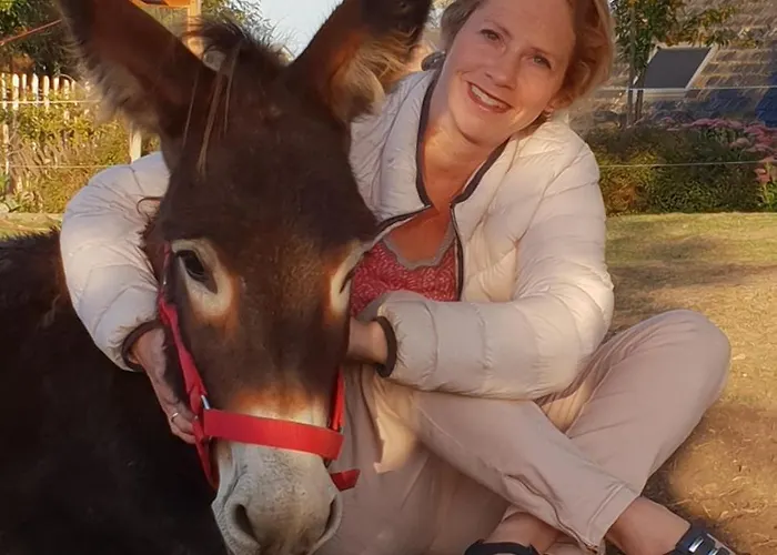 Hof Kricheleberg * Bocholtz