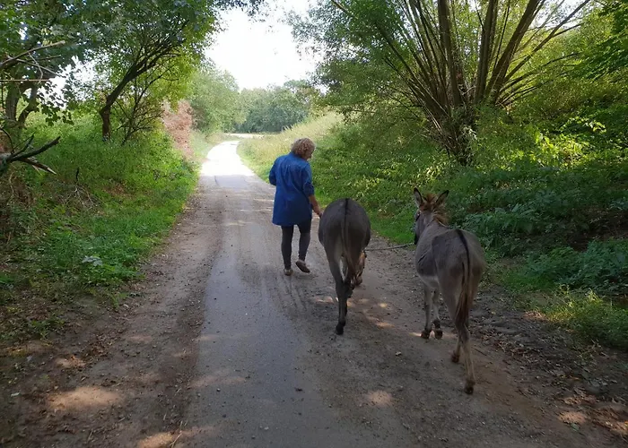 Lejlighed Hof Kricheleberg