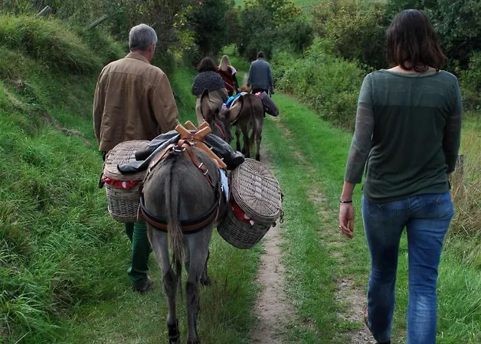 Hof Kricheleberg * Bocholtz