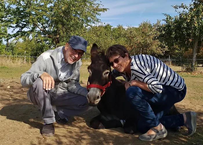 Daire Hof Kricheleberg