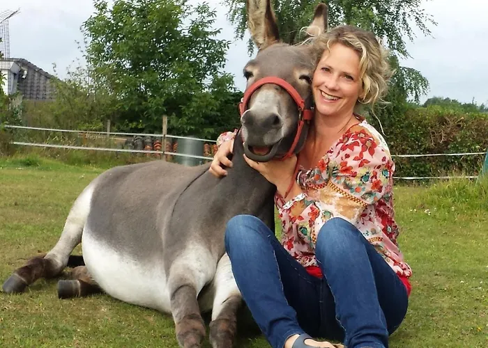 Apartment Hof Kricheleberg *