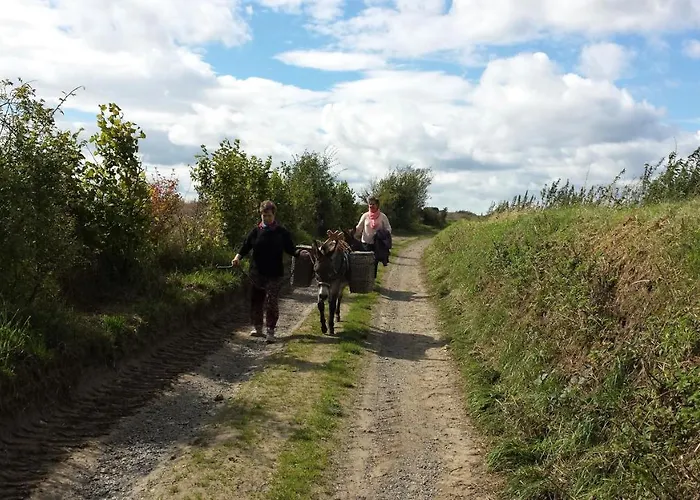 Hof Kricheleberg Daire Bocholtz