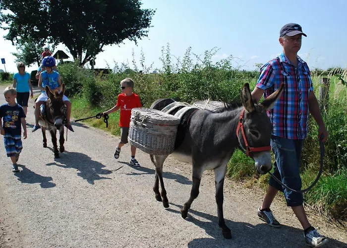 Hof Kricheleberg * Bocholtz