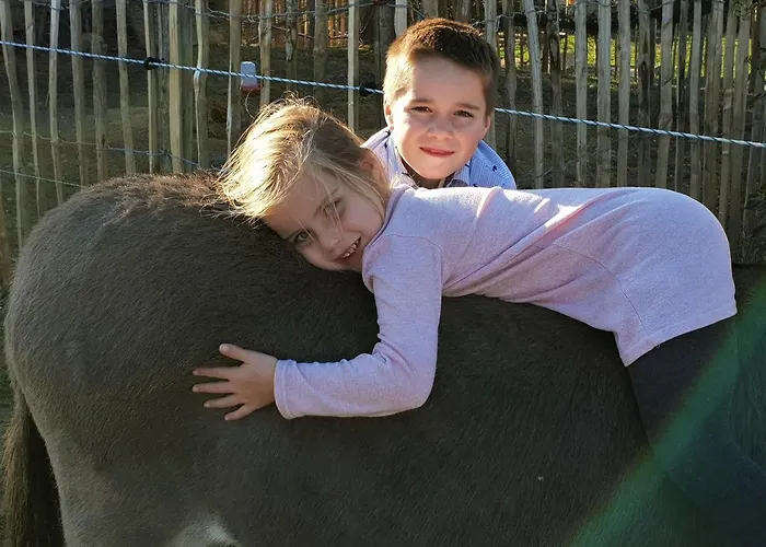 Hof Kricheleberg * Bocholtz