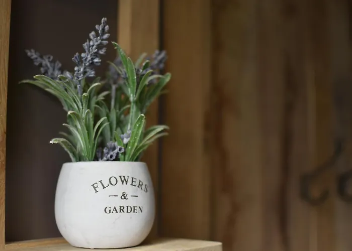 Daire Hof Kricheleberg