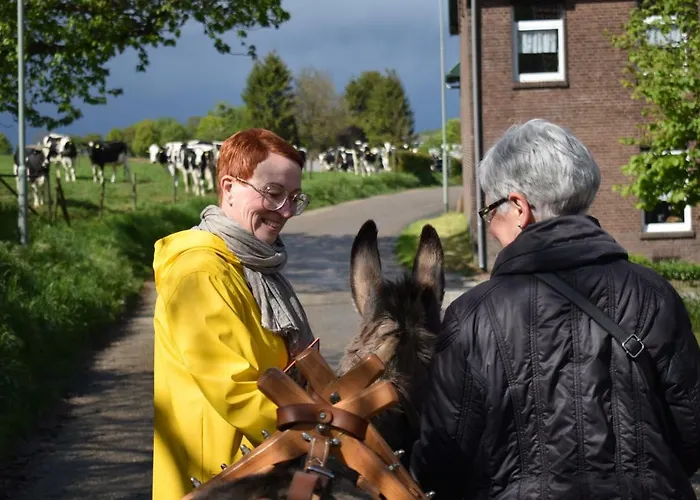 Daire Hof Kricheleberg *