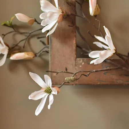 Hof Kricheleberg 아파트 *