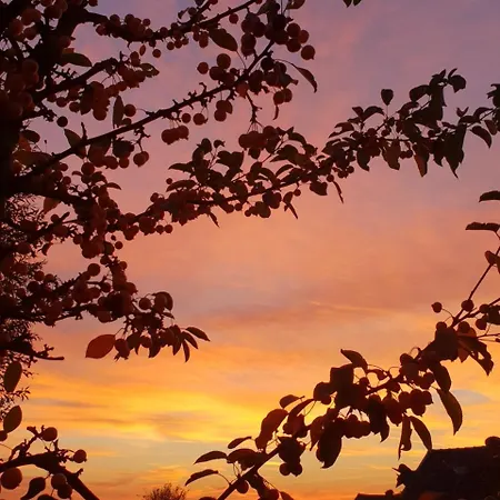 Hof Kricheleberg 아파트 *