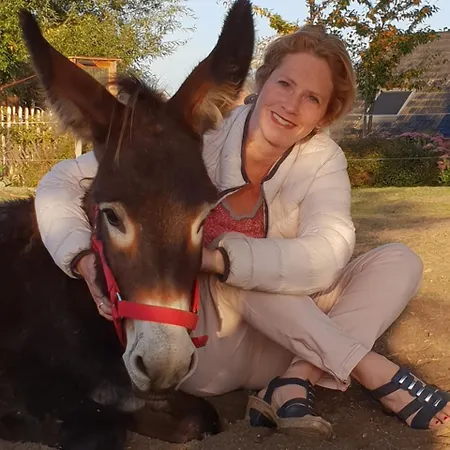 Hof Kricheleberg * Bocholtz