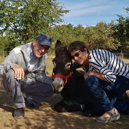 아파트 Hof Kricheleberg