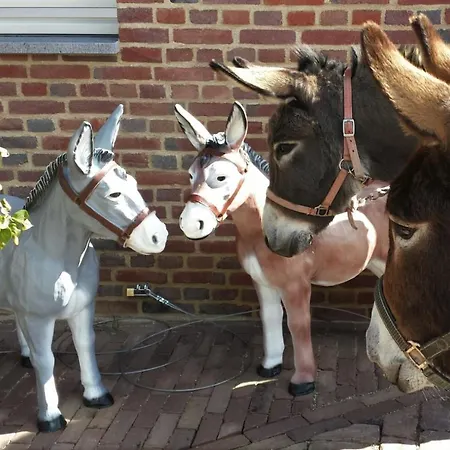 아파트 Hof Kricheleberg *