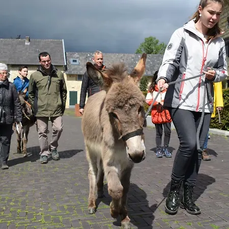 아파트 Hof Kricheleberg Bocholtz